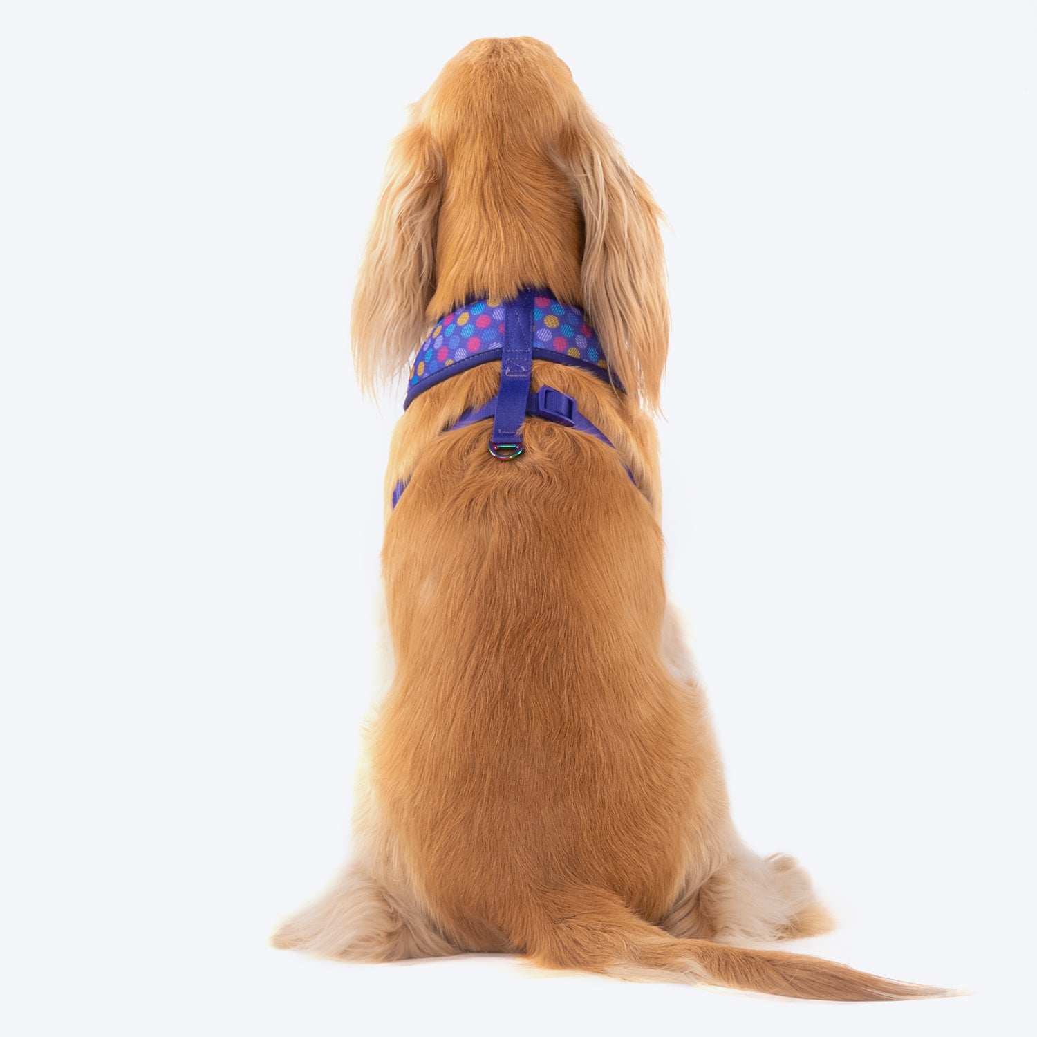 Dash Dog Circle Double Harness - Violet & Red - Heads Up For Tails