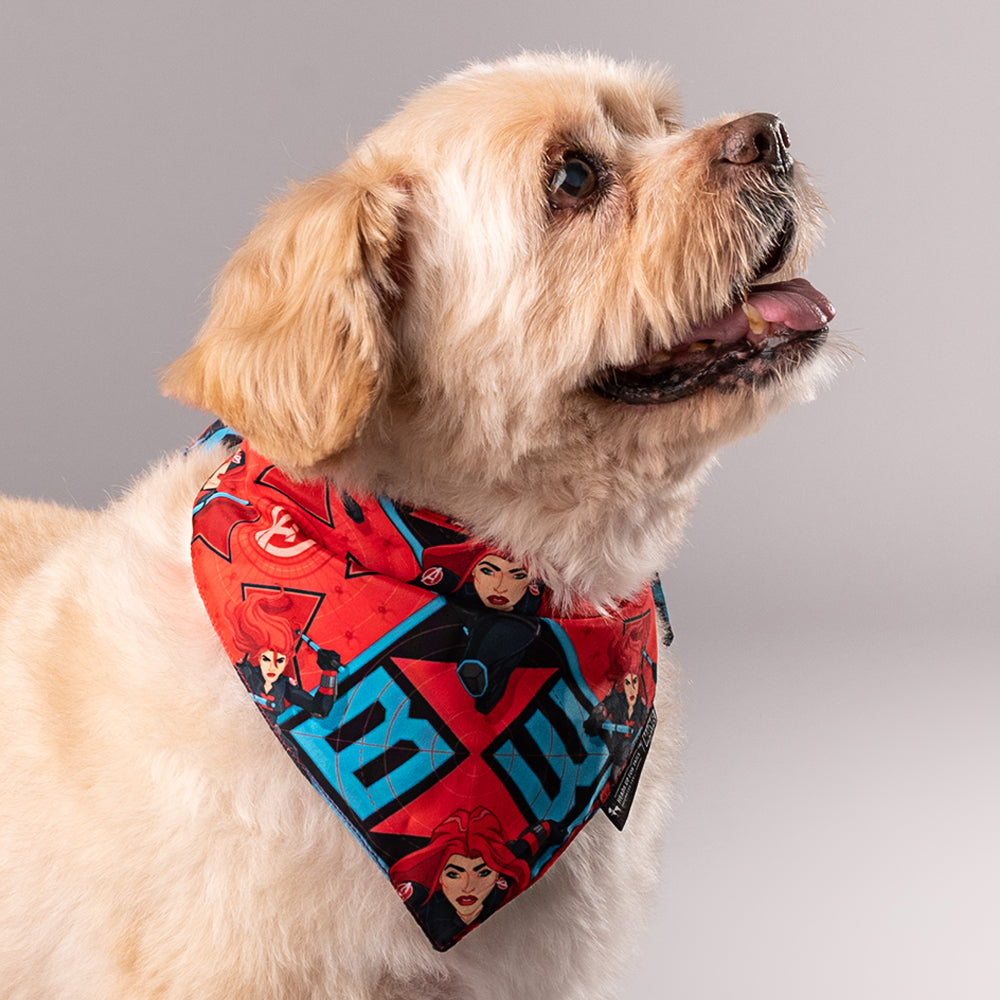 HUFT Marvel Black Widow Knot Dog Bandana - Heads Up For Tails