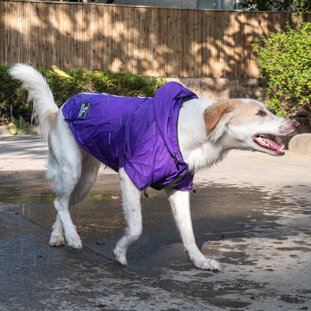 Purple raincoat cheap