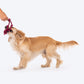 Dash Dog Double Trouble Rope Toy For Dogs - Purple - Heads Up For Tails