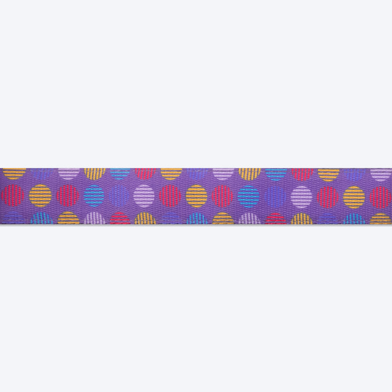 Dash Dog Circle Padded Collar - Violet - Heads Up For Tails