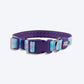 Dash Dog Circle Padded Collar - Aqua Blue - Heads Up For Tails