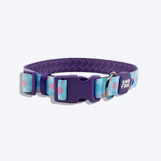 Dash Dog Circle Padded Collar - Aqua Blue - Heads Up For Tails