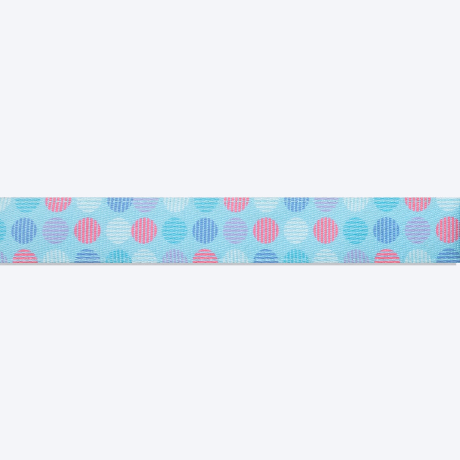 Dash Dog Circle Padded Collar - Aqua Blue - Heads Up For Tails