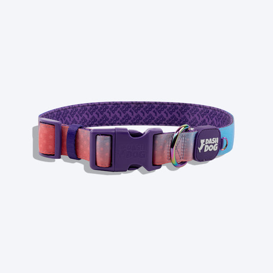 Dash Dog Flow Padded Collar - Violet & Red - Heads Up For Tails