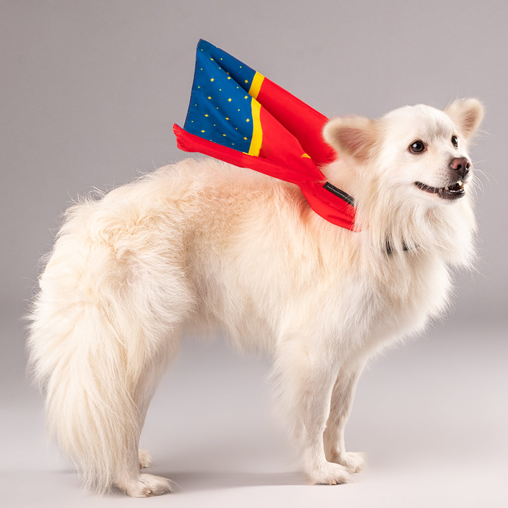 HUFT X©Marvel Captain Marvel Cape - Heads Up For Tails