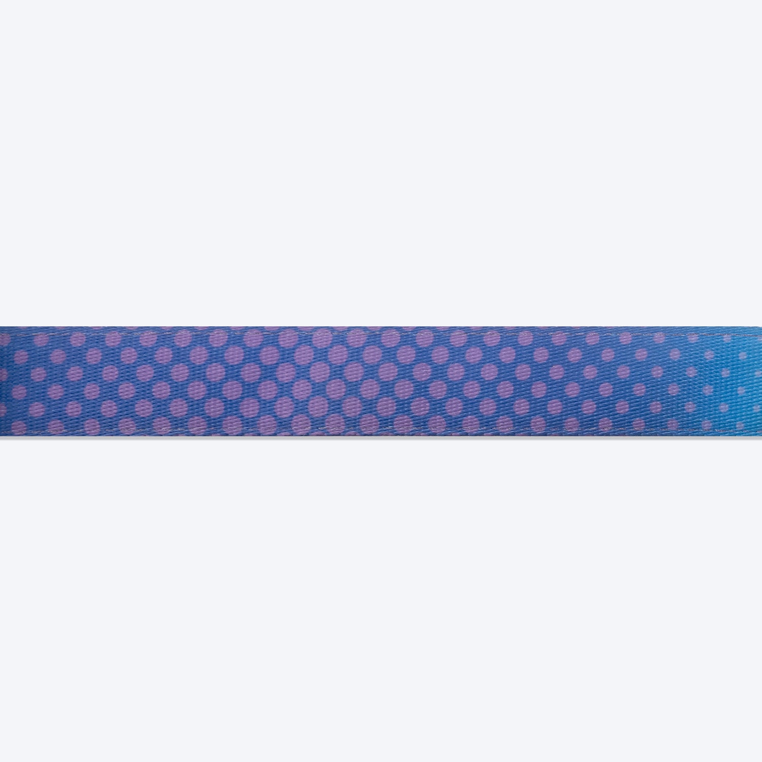 Dash Dog Flow Padded Collar - Violet & Red - Heads Up For Tails