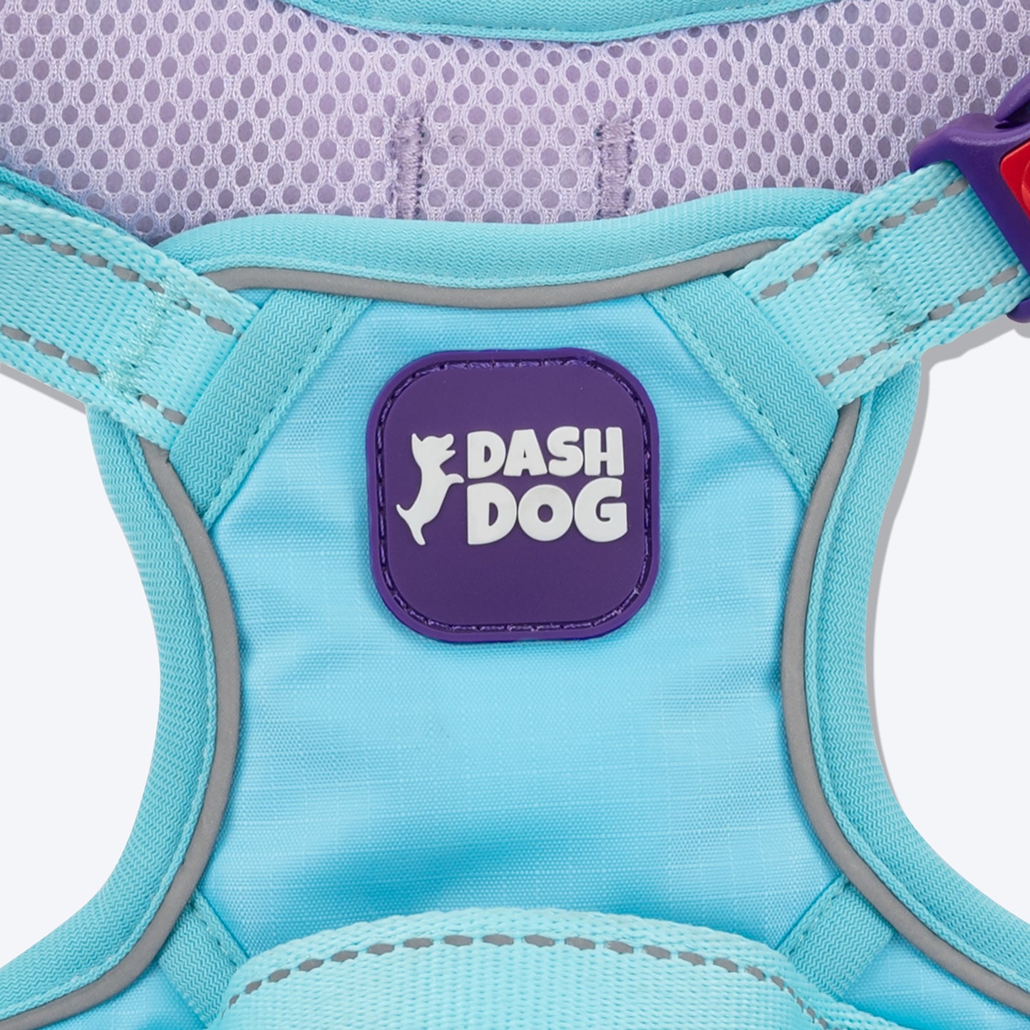 Dash Dog Zoom Walk Along Harness - Aqua Blue & Lavender - Heads Up For Tails