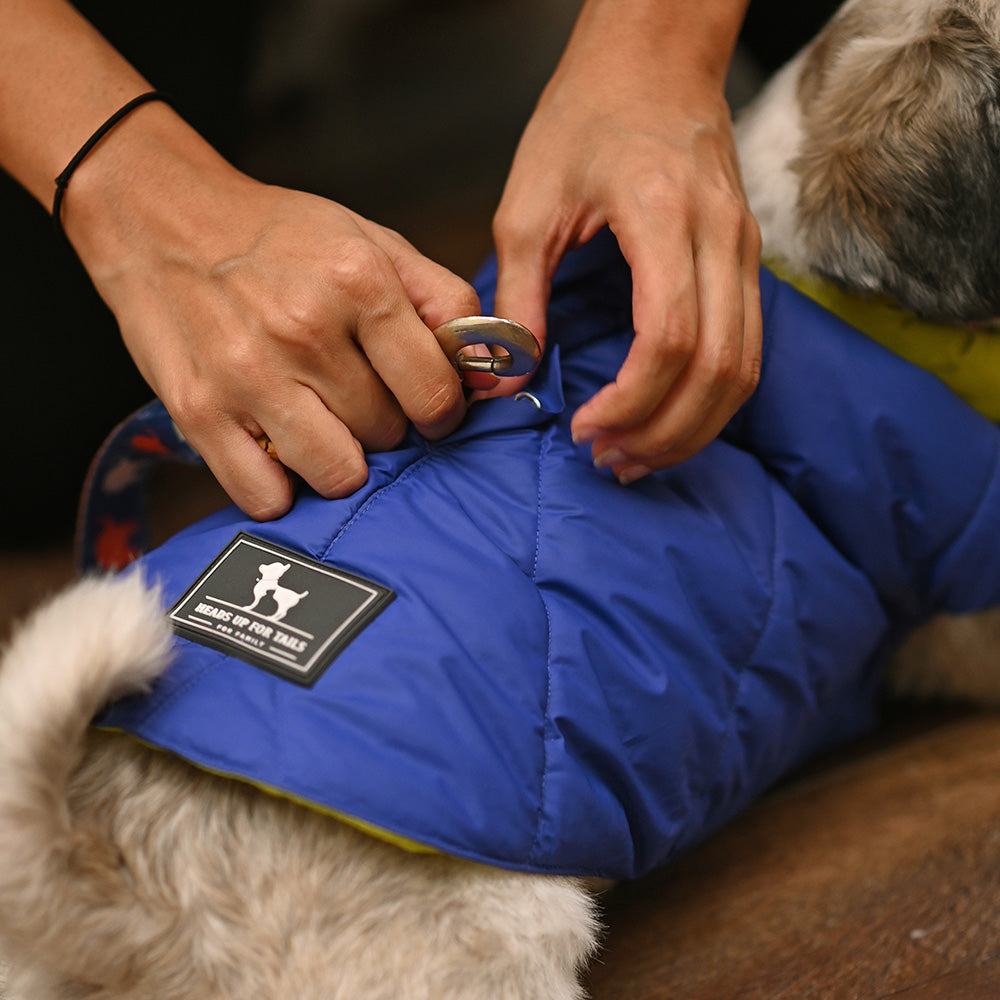 HUFT Cozy Pupper Reversible Dog Jacket - Dark Blue/Green - Heads Up For Tails