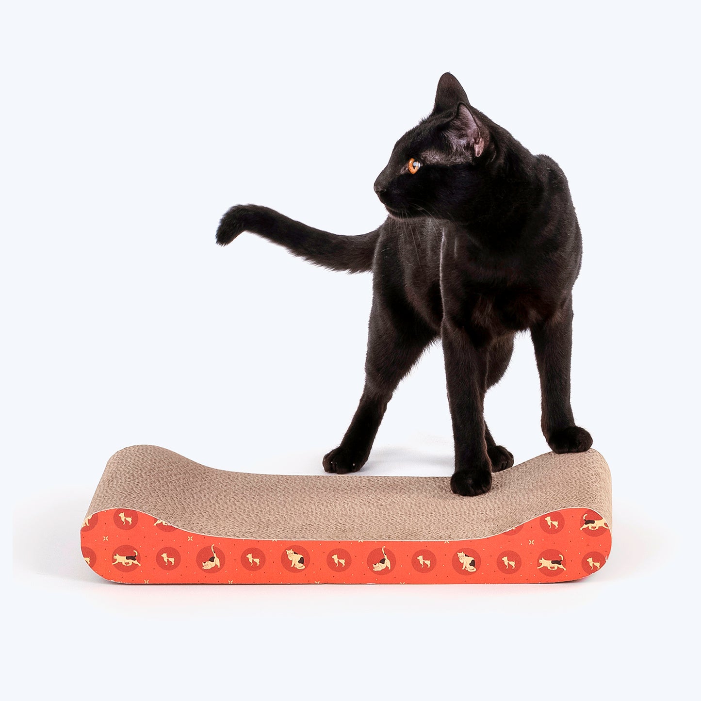 HUFT Feline Frenzy Cat Scratcher - Orange - Heads Up For Tails