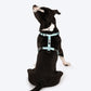 HUFT Nylon Summer Sky Dog H Harness - Heads Up For Tails