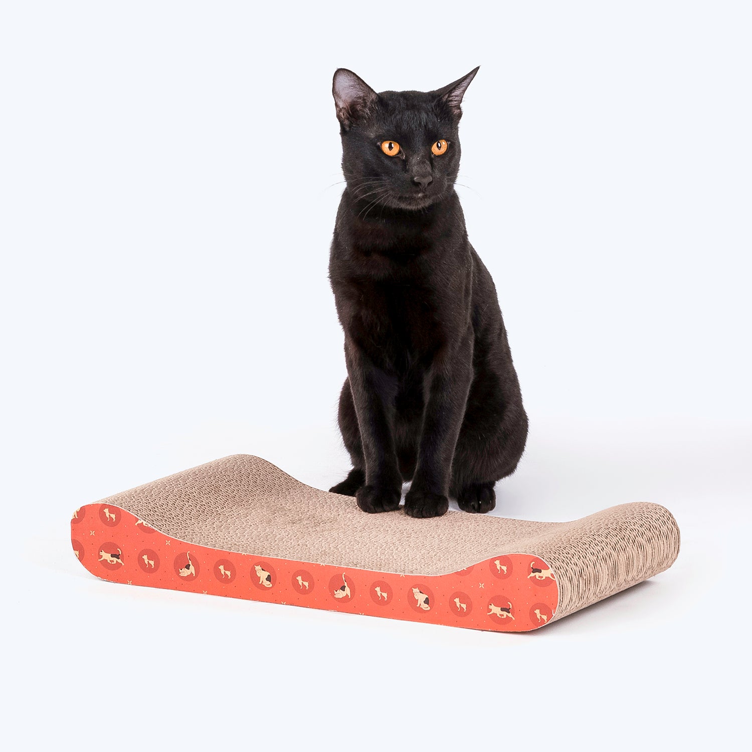 HUFT Feline Frenzy Cat Scratcher - Orange - Heads Up For Tails