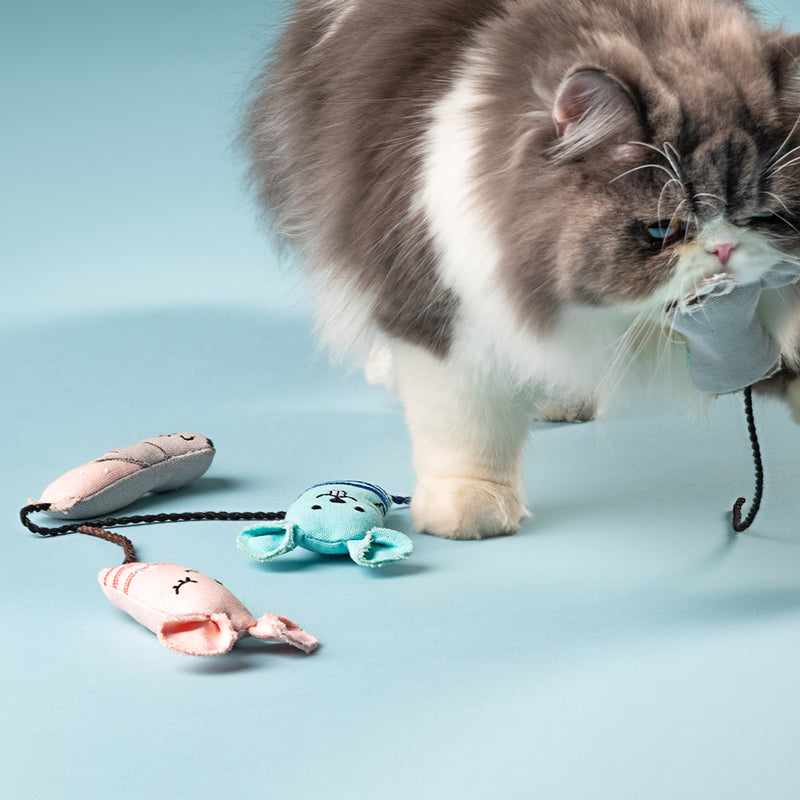 HUFT Cutest Collection Mim and Mo Cat Toys - Blue - Heads Up For Tails