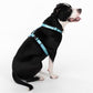 HUFT Nylon Summer Sky Dog H Harness - Heads Up For Tails