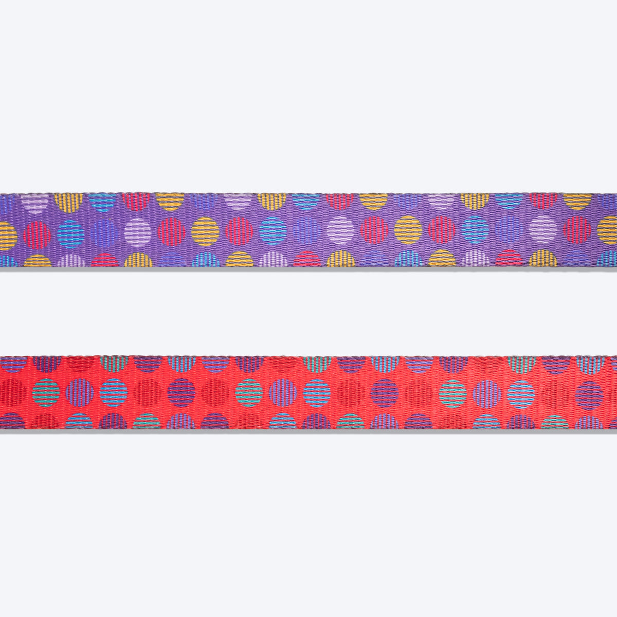 Dash Dog Circle Printed Leash - Violet & Red - Heads Up For Tails