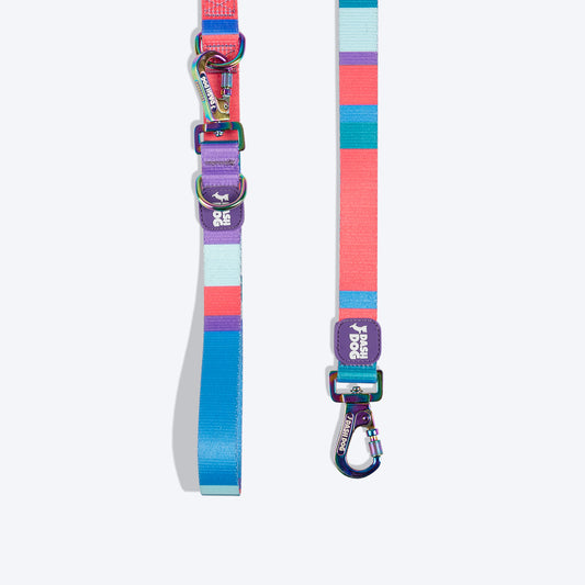 Dash Dog Vertical Pace 6 Way Leash - Multi Colour - Heads Up For Tails