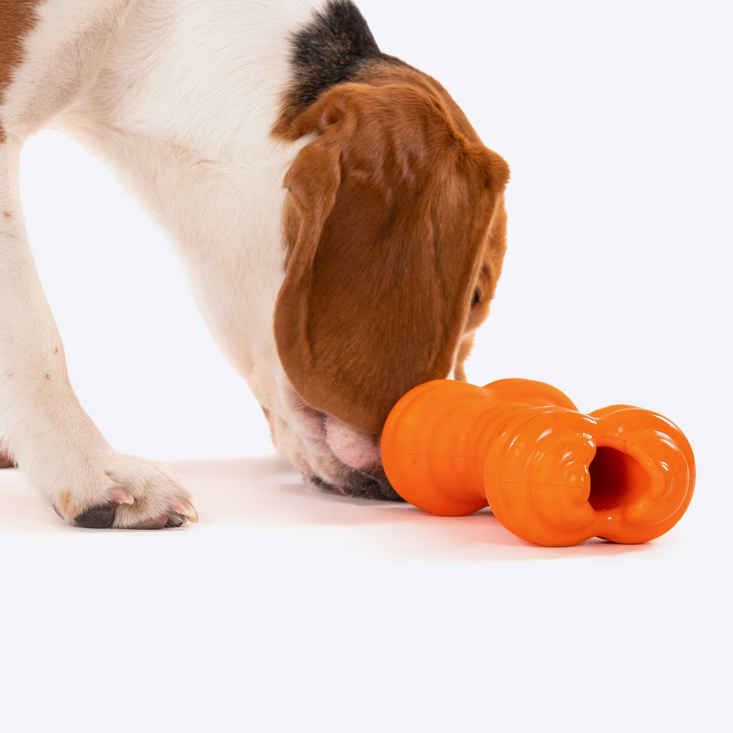 Dash Dog Screwdriver Chew Dog Toy - Orange_07