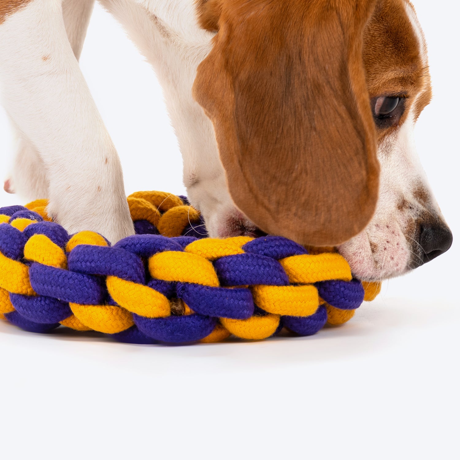 Dash Dog Round Trip Rope Dog Toy - Mustard & Violet - Heads Up For Tailsav_09