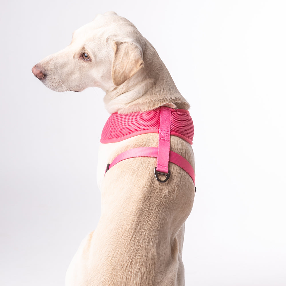 HUFT Classic Mesh Dog Harness - Pink - Heads Up For Tails