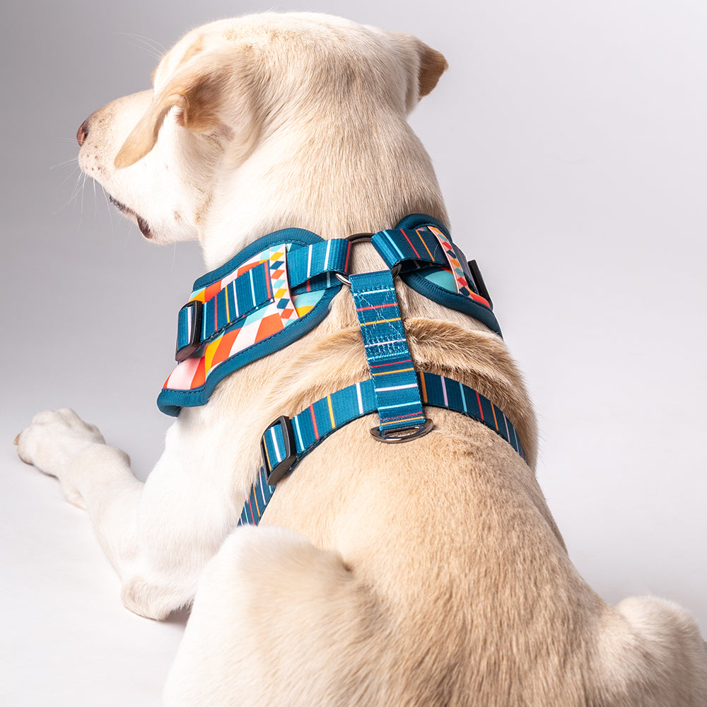 HUFT Sunset Strokes Printed Dog Harness - Heads Up For Tails