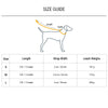 Dash Dog Flow Printed Leash - Pink & Aqua Blue - Heads Up For Tails