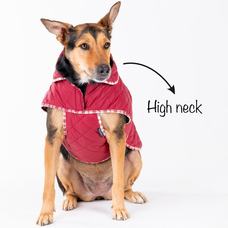 HUFT Grrberry Quilted Dog Jacket- Burnt Red - Heads Up For Tails