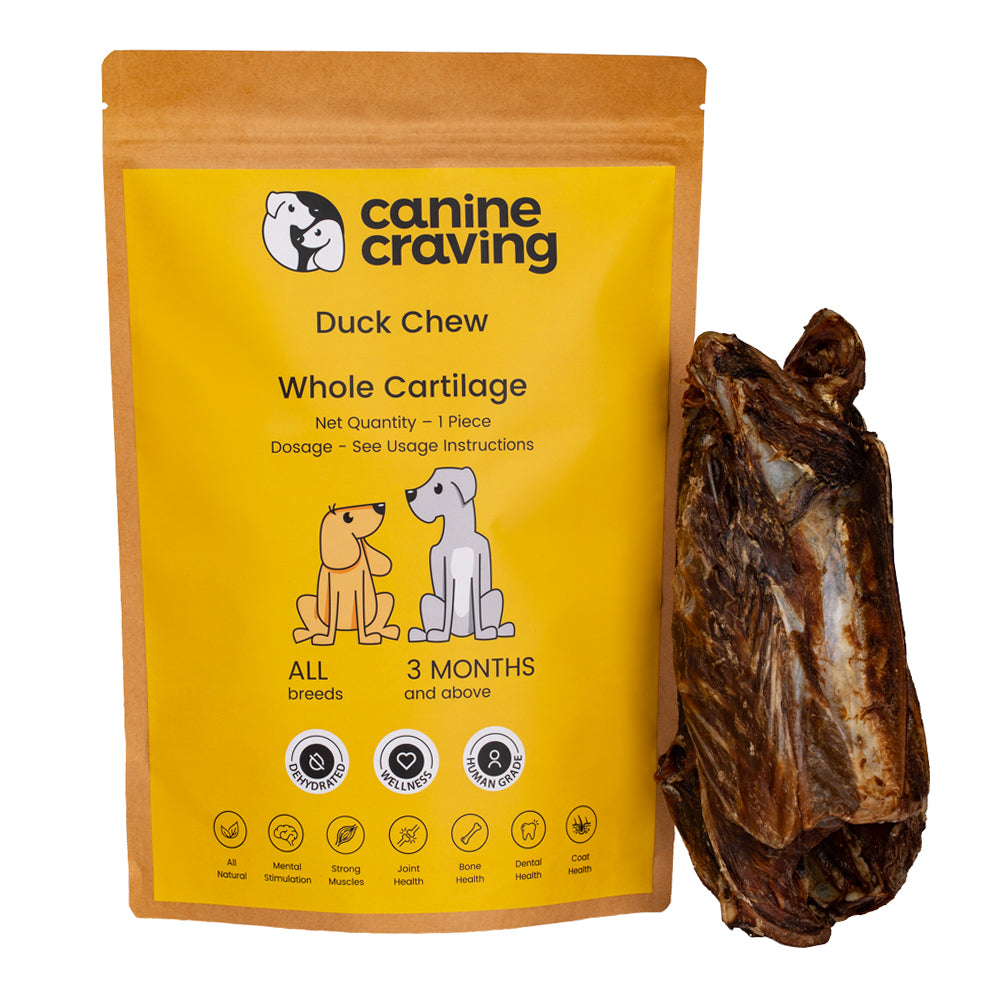 Canine Craving Duck Chew - Whole Cartilage Dog Chew Treat - 1 Piece - Heads Up For Tails
