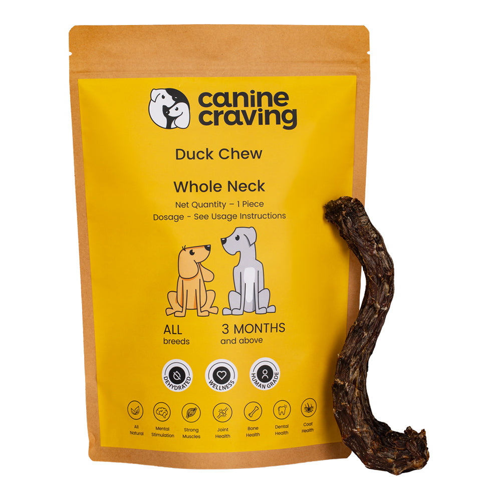 Canine Craving Duck Chew - Whole Neck Dog Chew Treat - 1 Piece - Heads Up For Tails