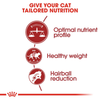Royal Canin Fit 32 Adult Dry Cat Food - Heads Up For Tails