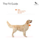 HUFT Fresh Blooms Dog Collar With Free Bow Tie - Heads Up For Tails