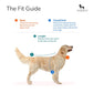 HUFT Zero Fluffs Given Dog T-Shirt3