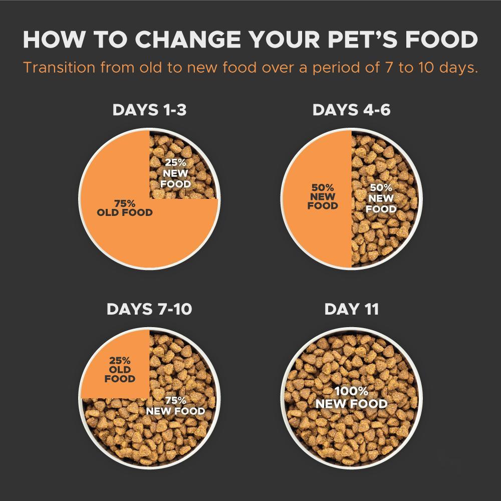 Transitioning hotsell puppy food