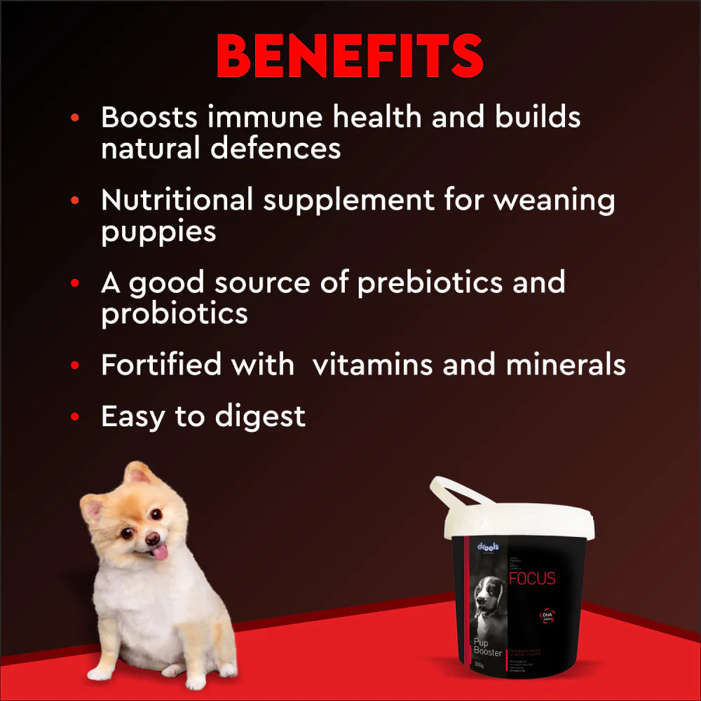 Drools Focus Pup Booster- Puppy Weaning Diet for all Breeds - 300 g - Heads Up For Tails