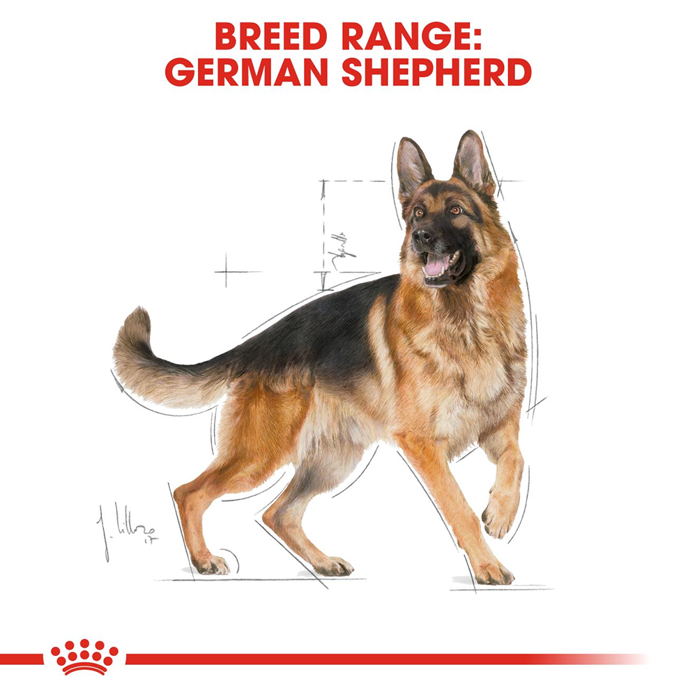 Royal Canin German Shepherd Adult Dry Dog Food - Heads Up For Tails