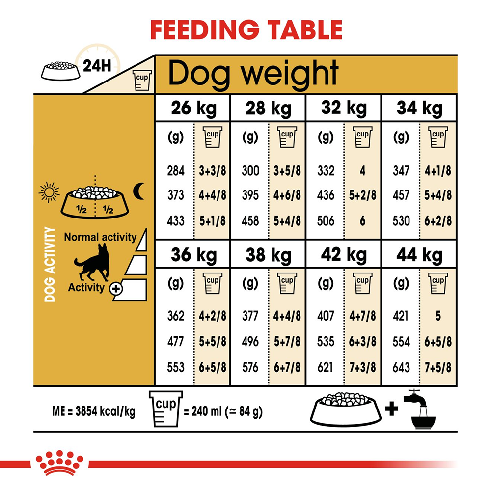 German shepherd puppy food amount outlet