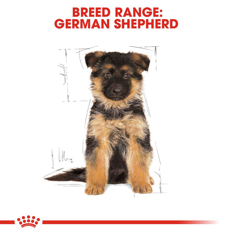 Royal Canin German Shepherd Junior Dry Puppy Food - Heads Up For Tails
