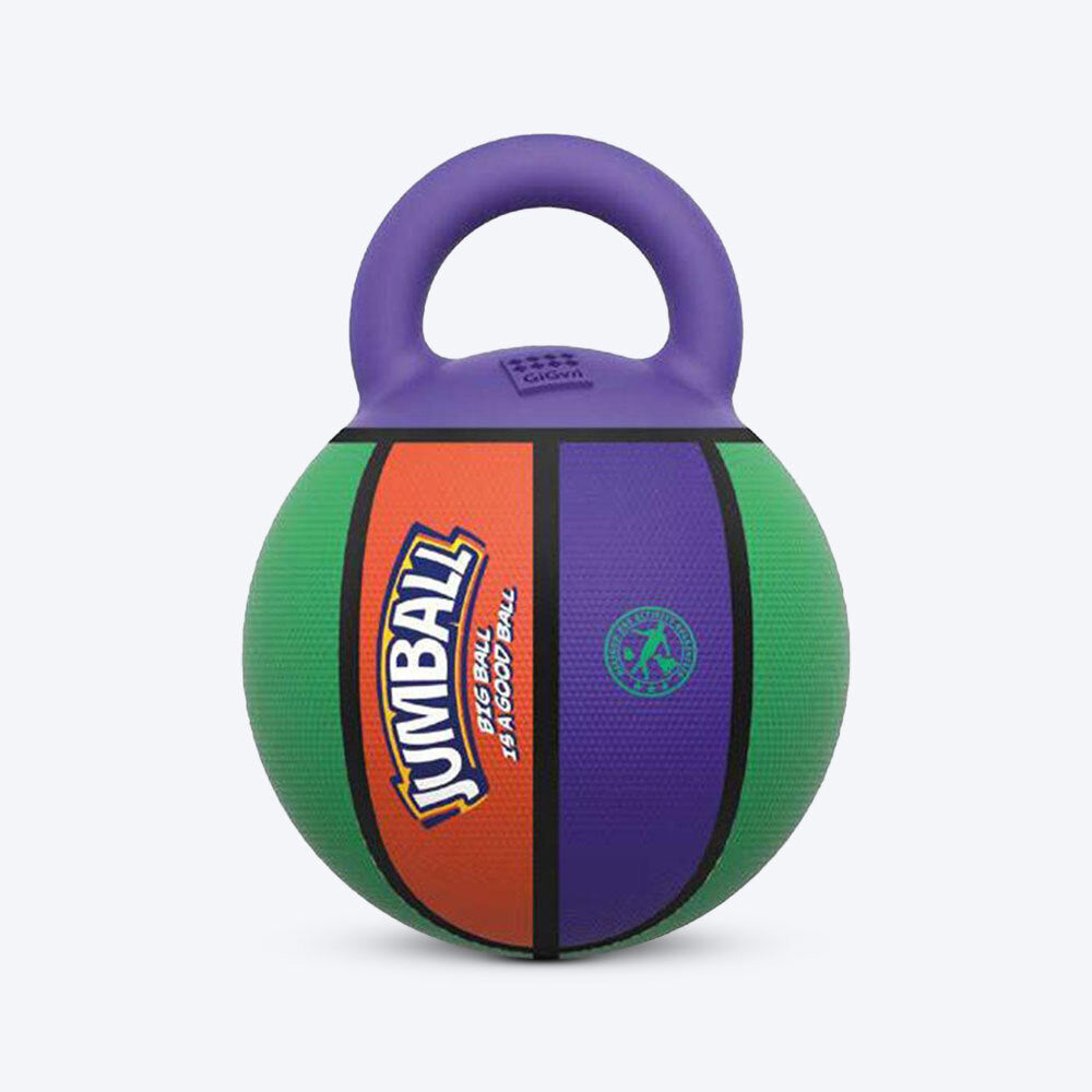 GiGwi Jumball Dog Toy - Basket Ball (with Rubber Handle) - Purple/Green/Orange - Heads Up For Tails