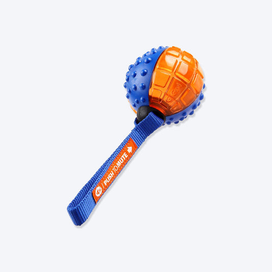 GiGwi Push To Mute Dog Toy - Ball (Solid/Transparent) - Blue/Orange - Heads Up For Tails