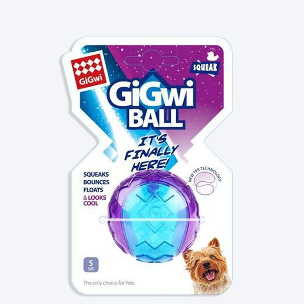 GiGwi Squeaker Transparent Ball Purple/Blue - Small (Pack of 1) - Heads Up For Tails
