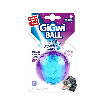 GiGwi Squeaker Transparent Ball Purple/Blue - Small