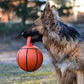 GiGwi Jumball Dog Toy - Basket Ball (with Rubber Handle) - Orange - Heads Up For Tails
