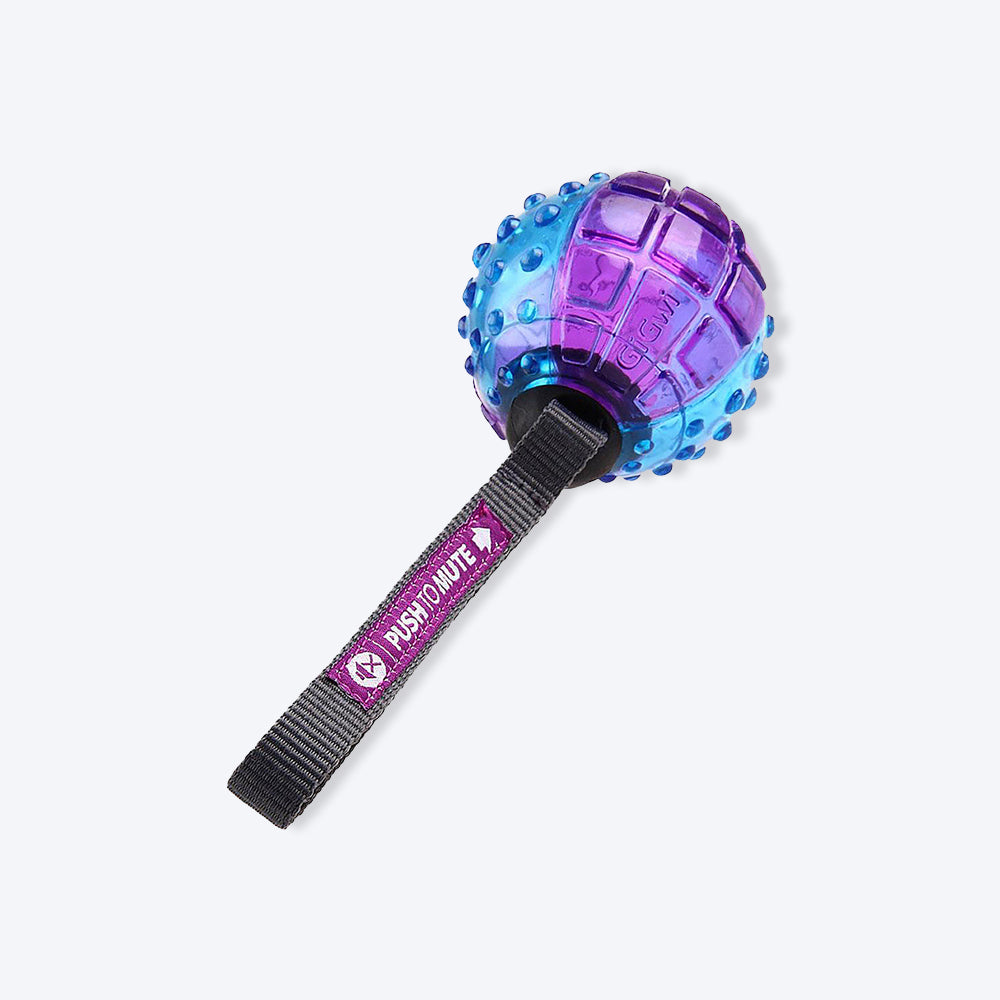 GiGwi Push To Mute Dog Chew Toy - Ball (Transparent) - Blue/Purple - Heads Up For Tails