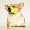 GiGwi Suppa Puppa Dog Squeaker Toy - Alligator - Green/Purple - Heads Up For Tails