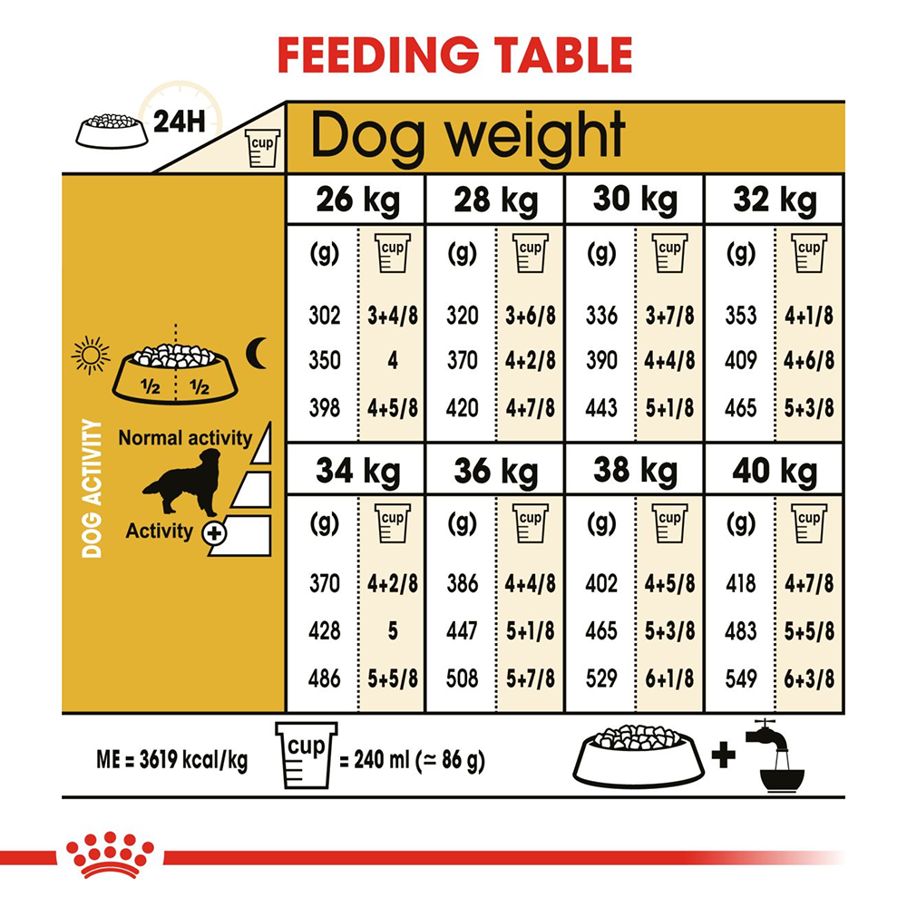 Golden retriever feeding chart best sale