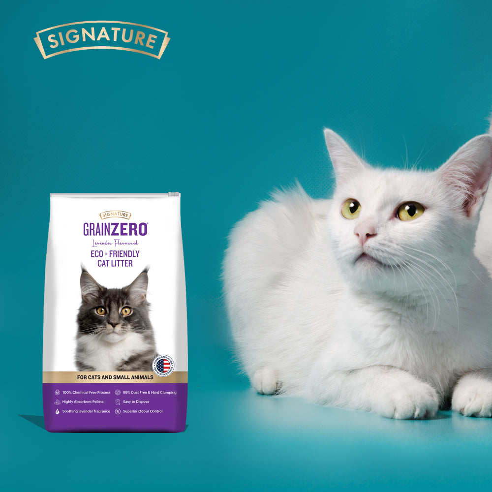 Signature Grain Zero Cat Litter - For All Cats And Small Animals - 8 kg-6