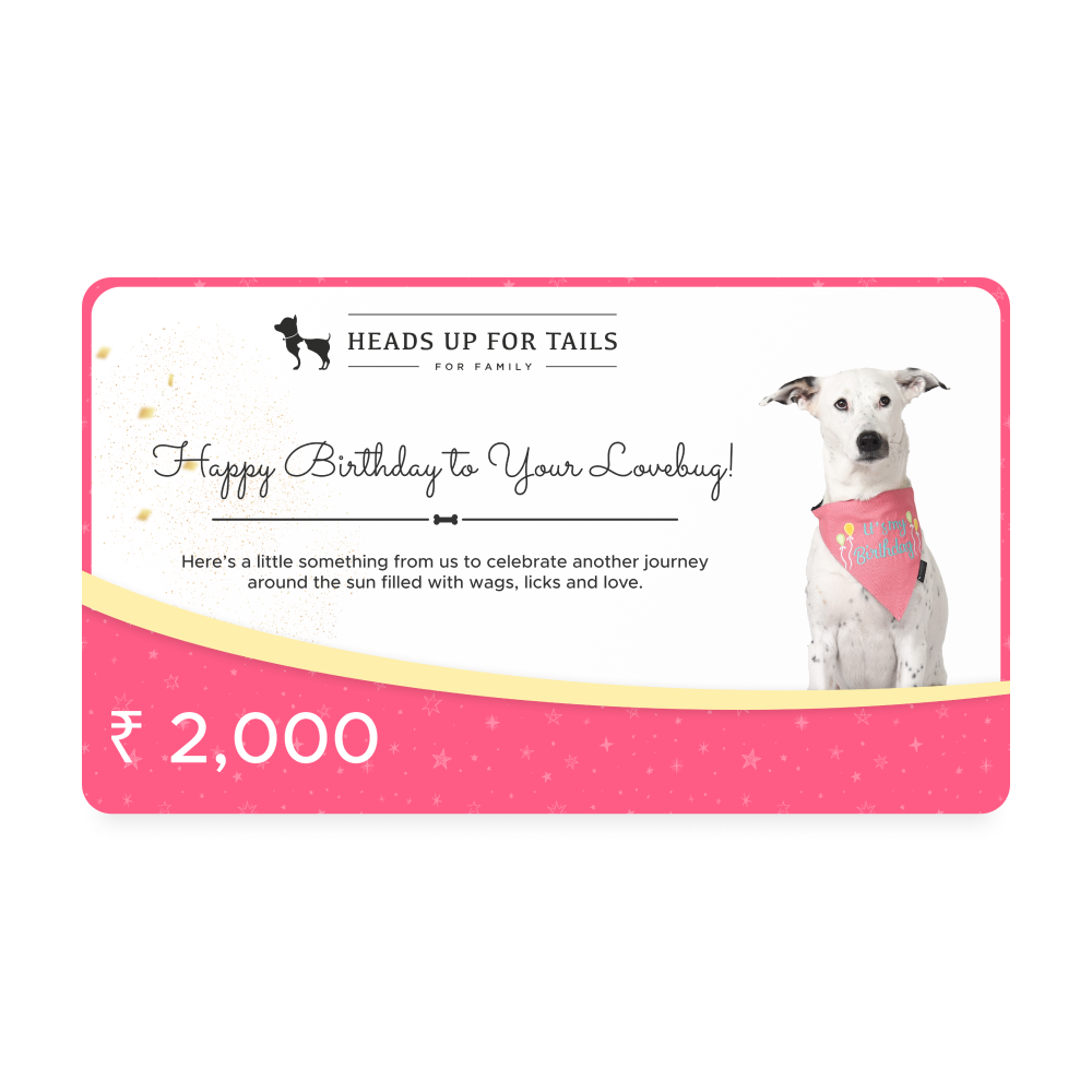 HUFT Happy Birthday To Your Lovebug Gift Card5