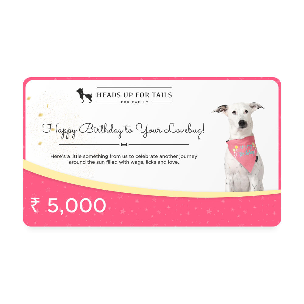 HUFT Happy Birthday Gift Card Celebrate Your Dog s Birthday