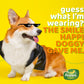 Happi Doggy Vegetarian Dental Chew - Zest - Orange - Petite - 2.5 inch - 150 g - 18 Pieces-4