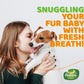 Happi Doggy Dental Chew Care (Immune Support )- Turmeric & Shiitake - Regular 4 inch - 150 g - 6 pieces-5