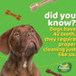 Happi Doggy Vegetarian Dental Chew - Zest - Strawberry (Singles) - Regular - 4 inch - 25 g-7